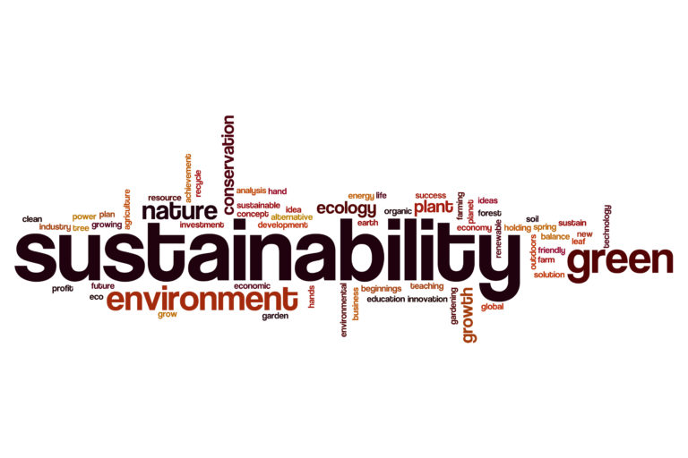 Sustainability word cloud